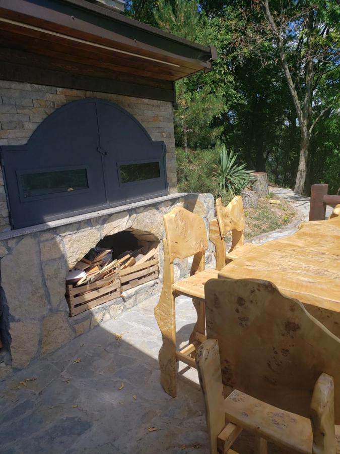 Vila Slankamenka Stari Slankamen Extérieur photo